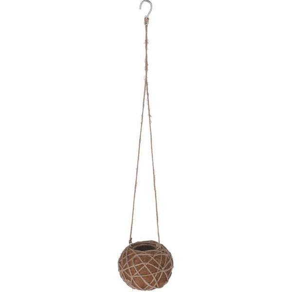 botanicals-collection-kokedama-indoor-plant-hanger-small